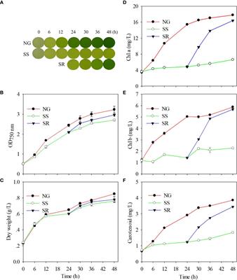 Starch accumulation dynamics and transcriptome analysis of Chlorella sorokiniana during transition of sulfur nutritional status